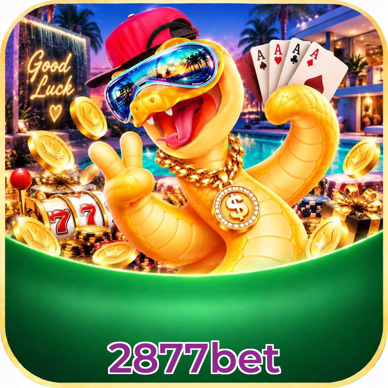2877bet Bet Odds Analysis