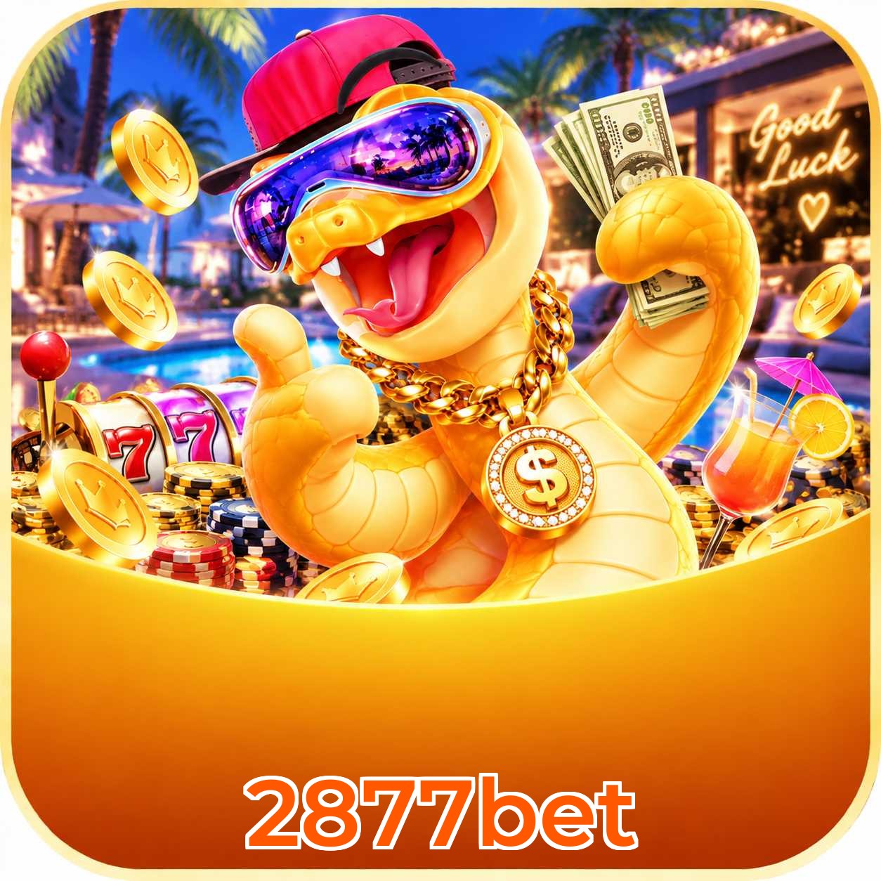 2877bet Streaming Quality